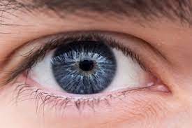See Clearly, Live Vibrantly: Award-Winning Vision Correction at TriCounty Eye Institute
