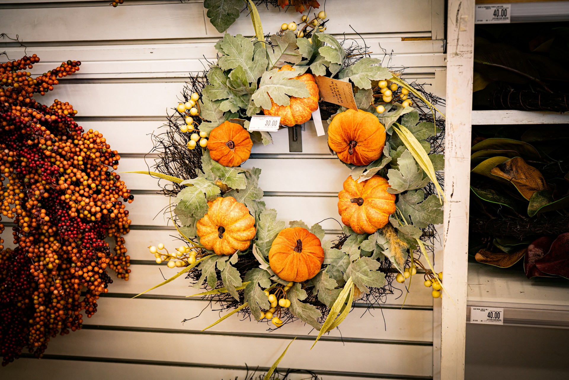 Family-Friendly Fall Activities in Corona: October 2024 Highlights