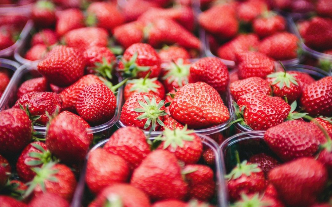 March 31 Guide: How to Celebrate National Farm Workers Day in Corona