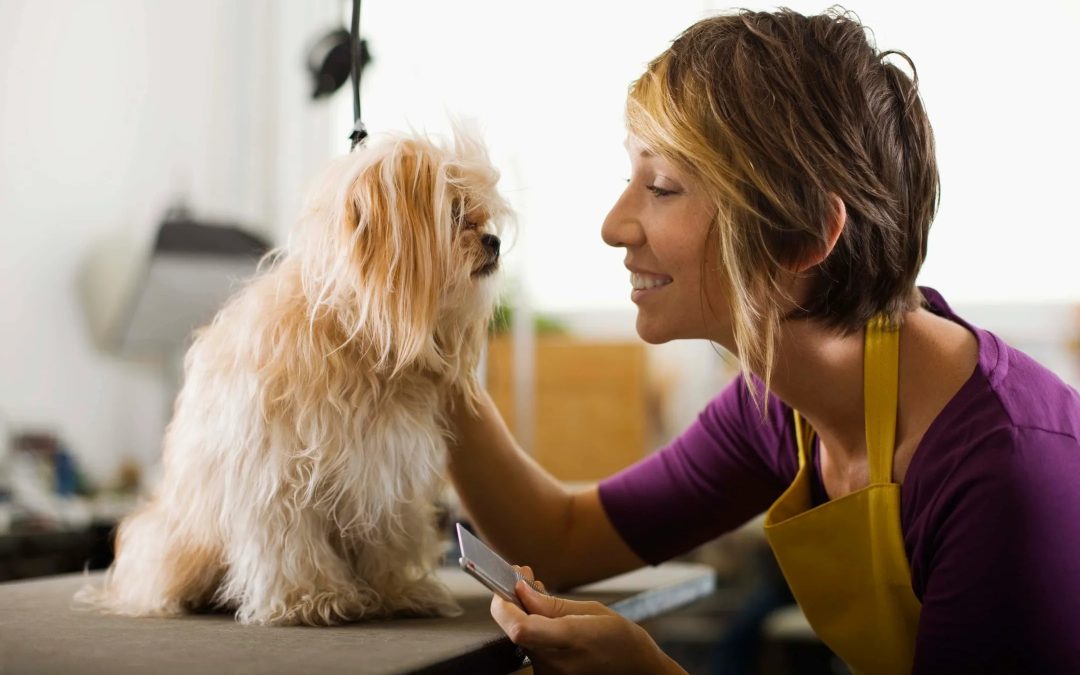 Super Paws Grooming: Gentle Care for Puppies, Seniors, and Rescues