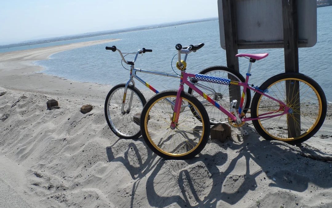 Peddlepower Riverside: Best Place for Bikes and Gear Near Corona