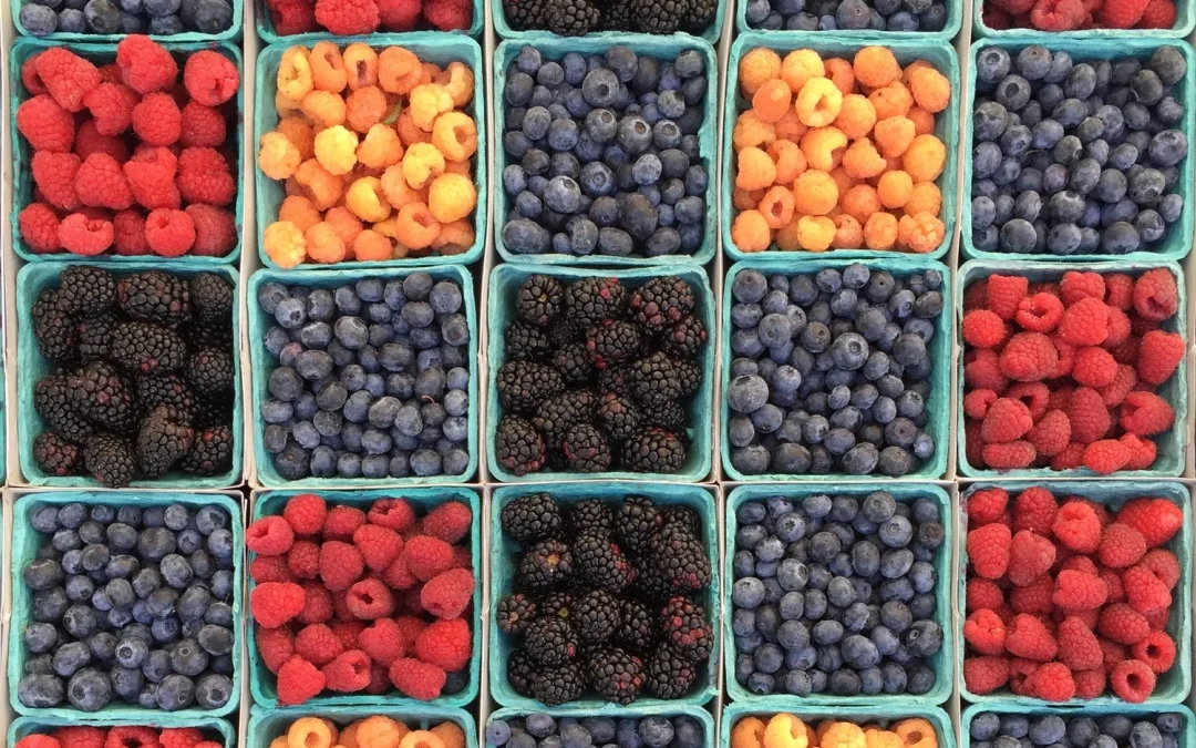 Exploring the Corona Farmer’s Market: A Community Hub for Fresh Finds