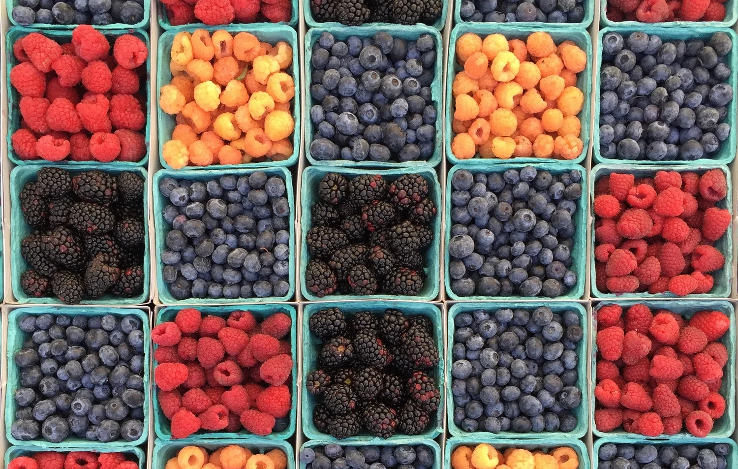 Corona farmers market